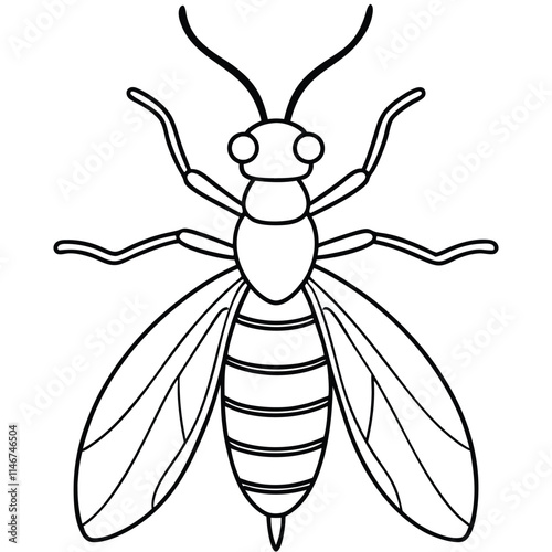 Stonefly insect flat vector illustration on white background