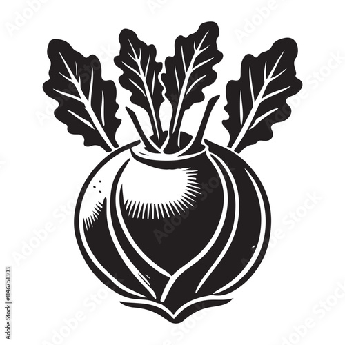 Kohlrabi Silhouette Vector Illustration, Solid White Background.