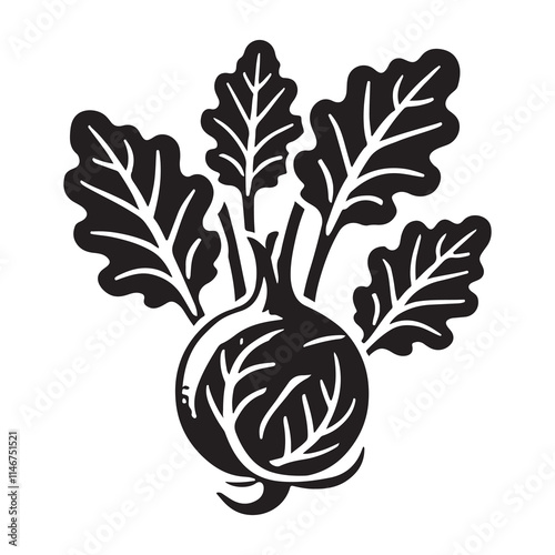 Kohlrabi Silhouette Vector Illustration, Solid White Background.