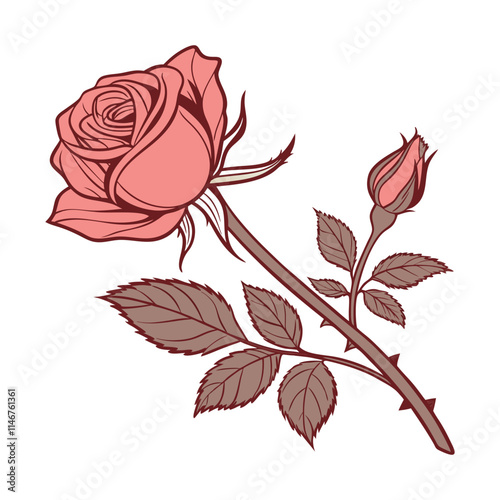 Hand drawn roses. Sketch rose flowers with buds, leaves and stems . golden vintage etching vector botanical isolated on transparent. Illustration of rose petal, sketch botany floral plant, PNG and SVG