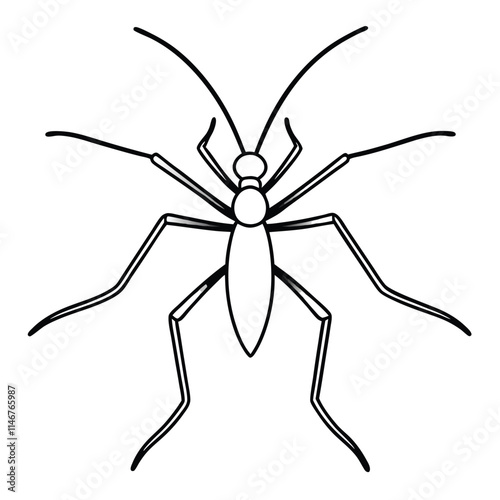 Water Strider insect flat vector illustration on white background