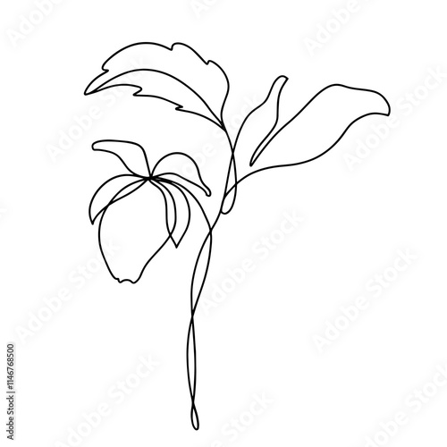 Line Drawing. Floral Minimalist Logo. Continuous line. Vector illustration. Without artificial intelligence. Line Drawing Illustration .One Line Drawing Style.  Smooth Lines