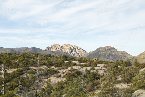 Cochise Head rock formation at Chiricahua National Monument, Arizona photo