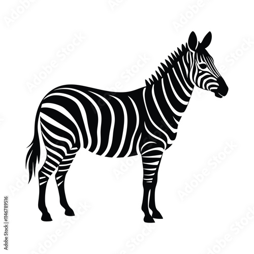 Photography zebra silhouettes isolated on white background