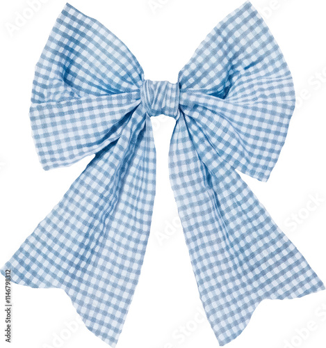 Blue and white checkered ribbon with a bow