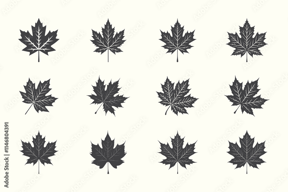 Stylish maple leaf silhouette set featuring elegant and seasonal designs, perfect for nature-inspired and autumn-themed projects. Stylish maple leaf silhouette set featuring elegant and seasonal designs, perfect for nature-inspired and autumn-themed projects.