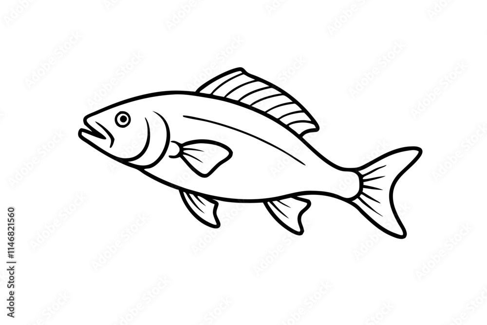 illustration of a fish illustration of a fish