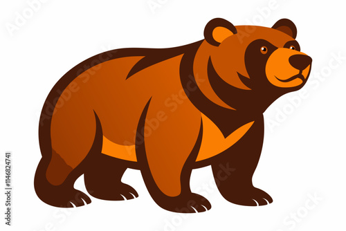 illustration of bear