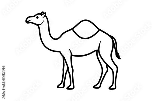 camel cartoon illustration