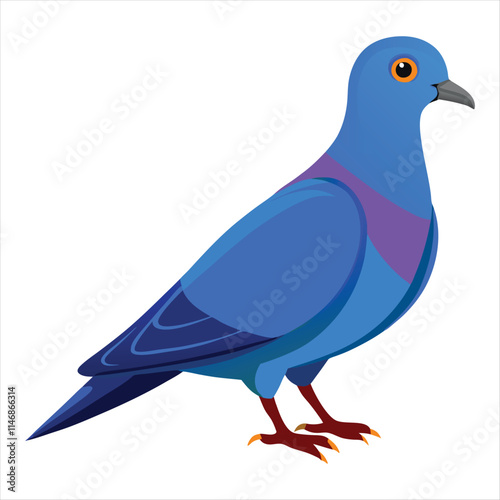 illustration of a pigeon