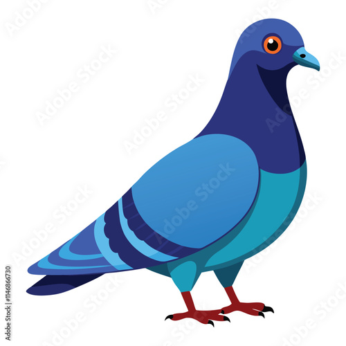 illustration of a pigeon