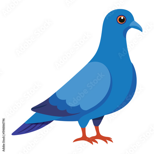 illustration of a pigeon