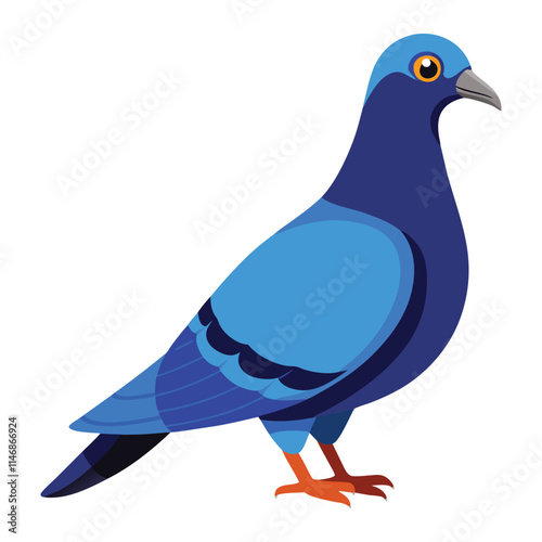 illustration of a pigeon
