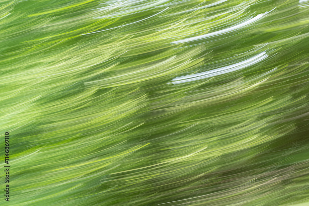 Abstract non-real green fantasy Abstract non-real green fantasy