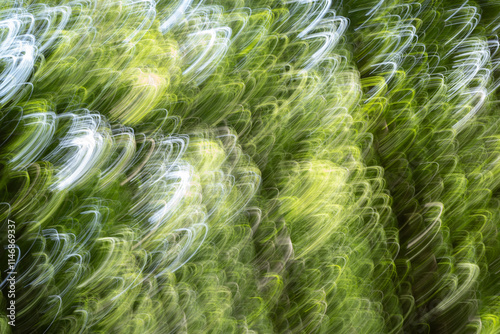 Abstract impressionsim curls in yellow-green photo