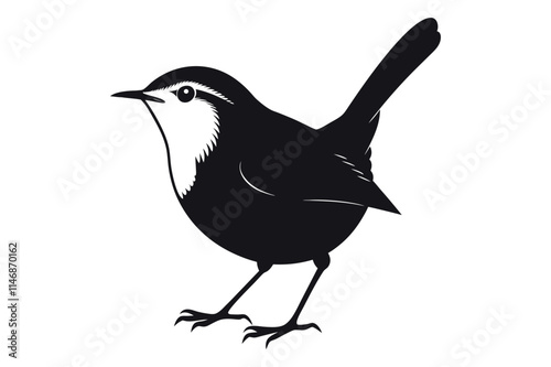 wren bird animal vector illustration