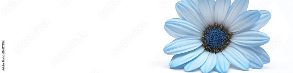 Blue daisy flower, isolated on white background, copy space for text, solid color backdrop, high-res, realistic. Blue daisy flower, isolated on white background, copy space for text, solid color backdrop, high-res, realistic.