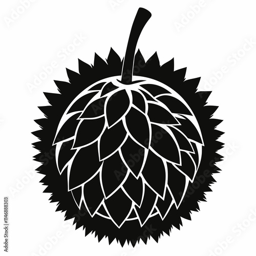 Durian Art vector