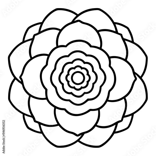 Ranunculus Flower Mandala Art Vector