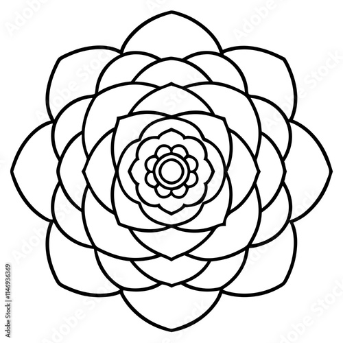 Ranunculus Flower Mandala Art Vector