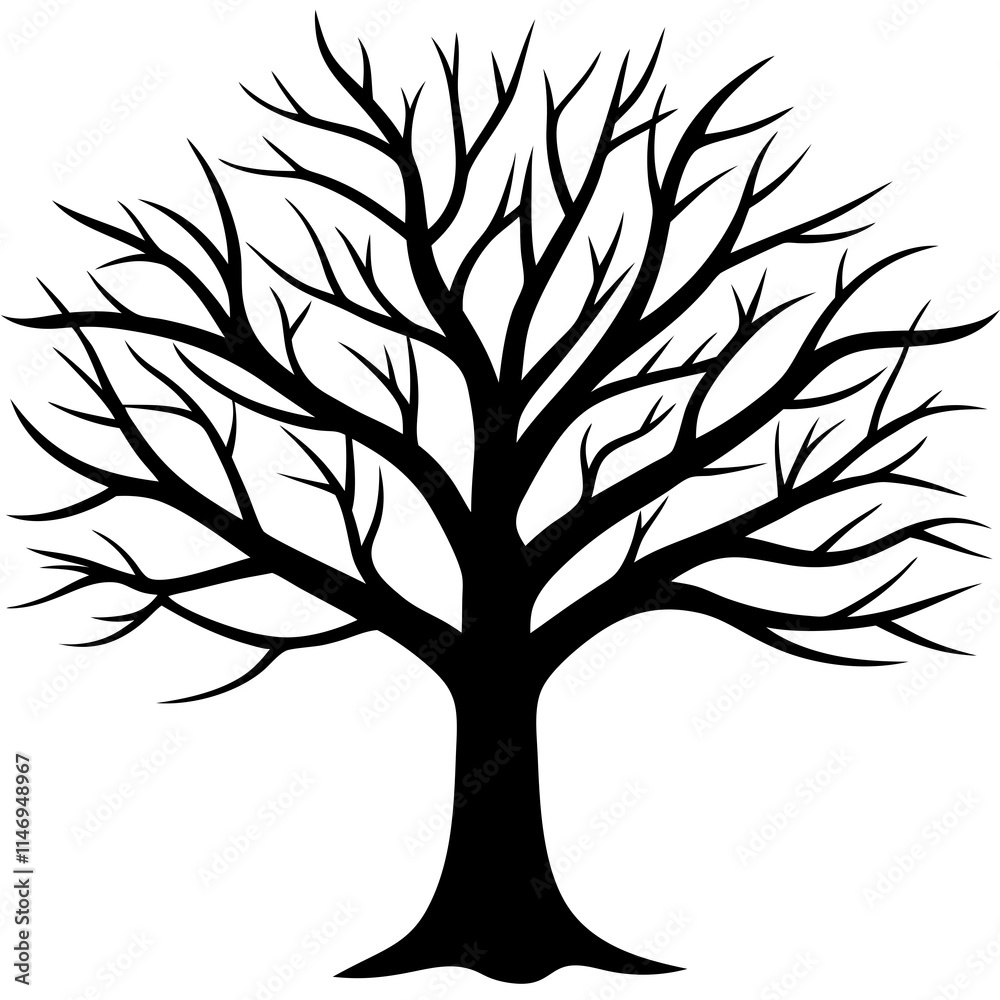 Obraz premium tree, without leaves Silhouette