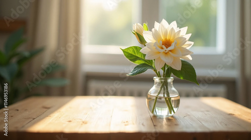 Single flower in a pot