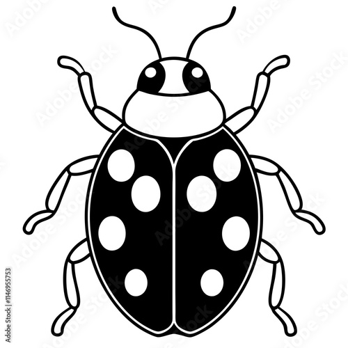 ladybug silhouette vector illustrator photo