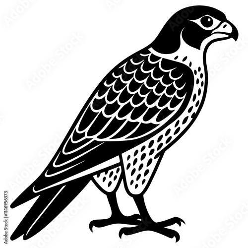 falcon  silhouette vector illustrator  photo