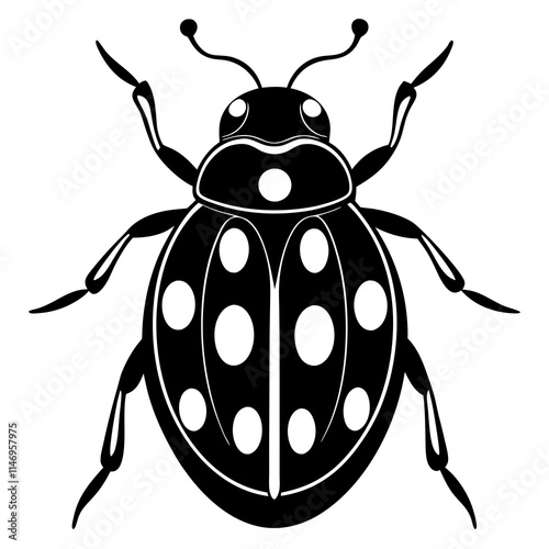 ladybug silhouette vector illustrator photo