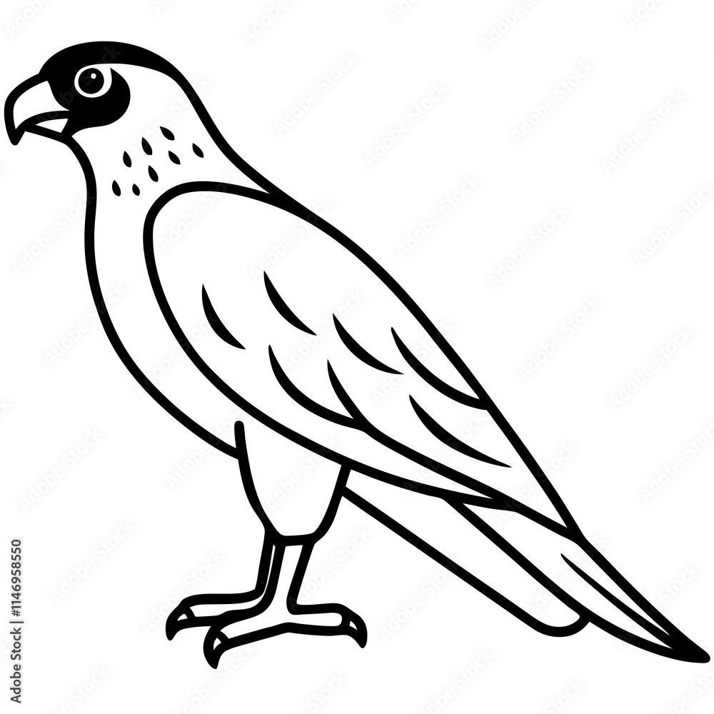 Fototapeta premium falcon line art vector