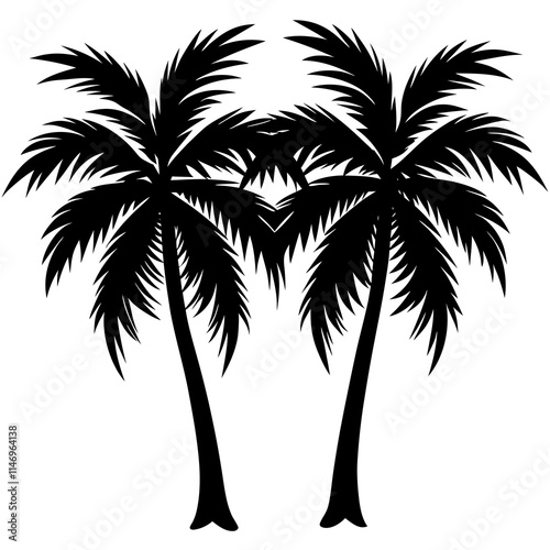 palm tree silhouette