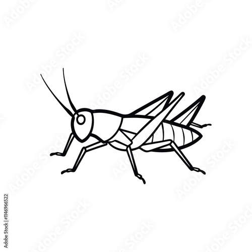 A grasshopper vector illustration