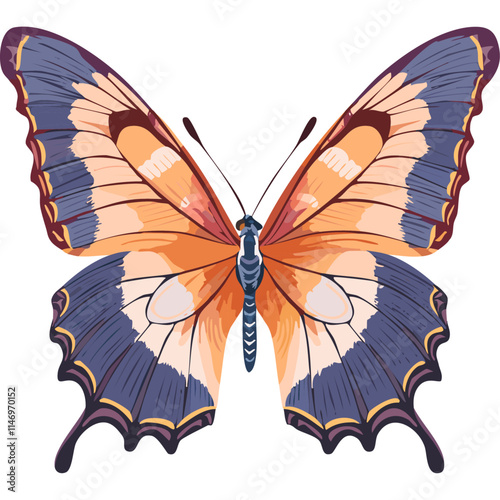 Butterfly color vector illustration.