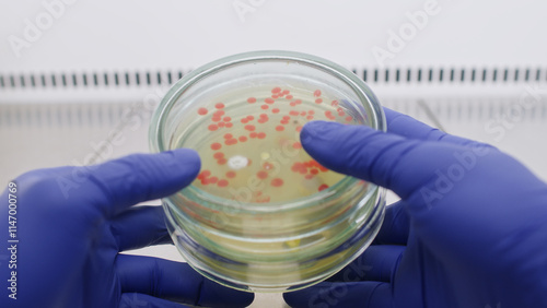 Scientist holding a shot glass in his hands Petri dishes with bacteria in hands, close-up in the laboratory. Laboratory study of bacteria.