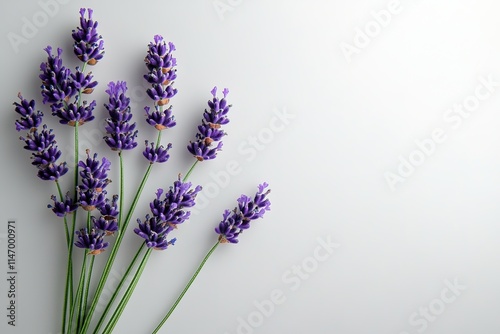 Beautiful lavender stems arranged elegantly, showcasing rich pur