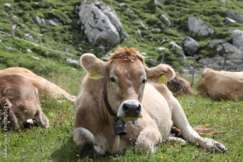 Hike to the Flems stream in the canton of Graubünden, Switzerland photo