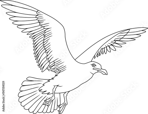 Seagull line vector illustration isolated on white background