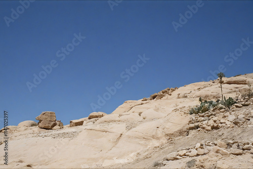 Journey to the Wonder of the World Petra, Jordania