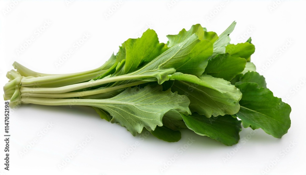 Fresh green leafy vegetables, healthy and vibrant. Fresh green leafy vegetables, healthy and vibrant.