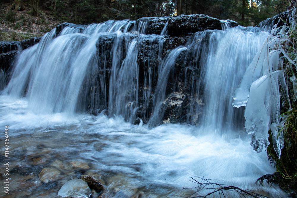 Fototapeta premium waterfall in the forest