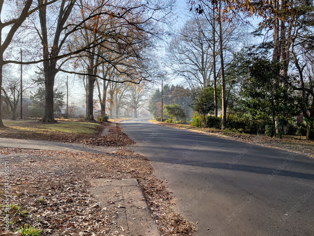road in the wooded neighborhood road in the wooded neighborhood