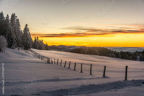 Prés des Planchettes sur le Territoire de la commune du Locle (NE) en décembre 2020 photo