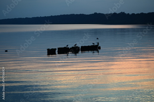 Abend am Stettiner Haff bei Kamminke auf Usedom photo