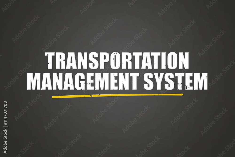 Transportation Management System. A blackboard with white text. Illustration with grunge text style.