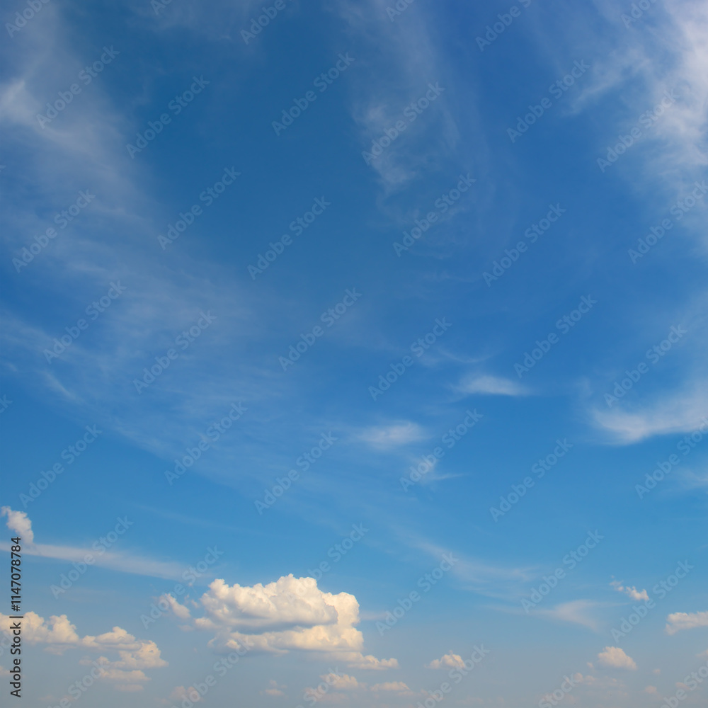 Fototapeta premium Bright blue sky with white clouds.