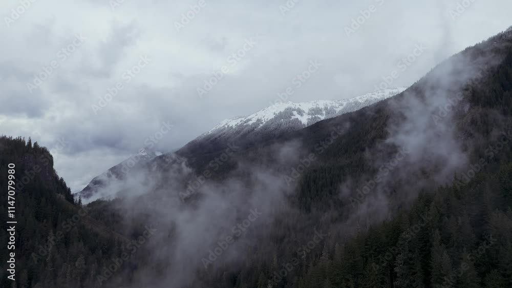 Mt Baker highway Whatcom County Washington fresh snow and fall leaves November 2024 on Mt Baker Highway near ski area Mt Baker highway Whatcom County Washington fresh snow and fall leaves November 2024 on Mt Baker Highway near ski area