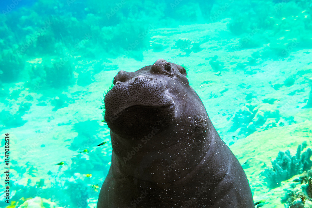 Obraz premium Generated image