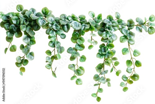 green plant isolated