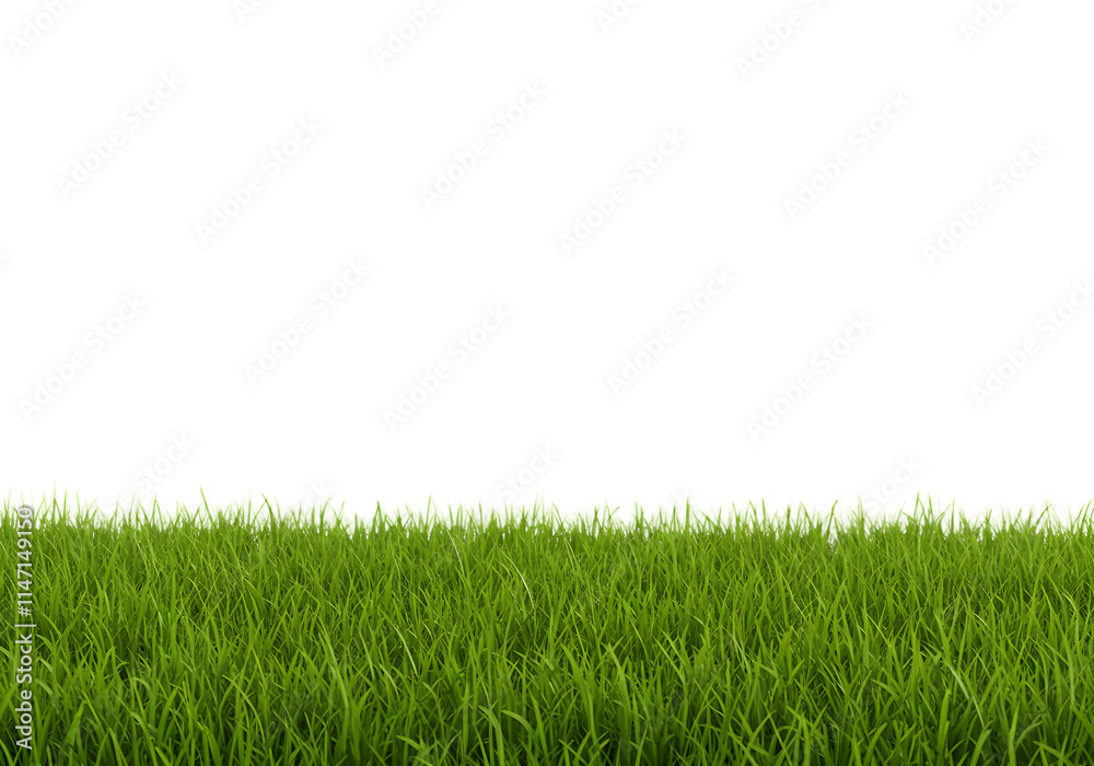 Fototapeta premium green grass png in foreground, green grass isolated on transparent background in foreground