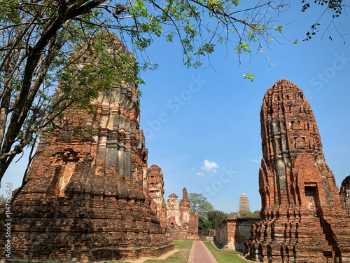 Ancient Brick Ruins with Trees (Ayutthaya, Thailand)
